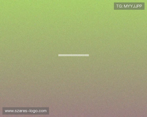 世界杯捷克南非比赛中文解说员分析与比赛氛围现场报道